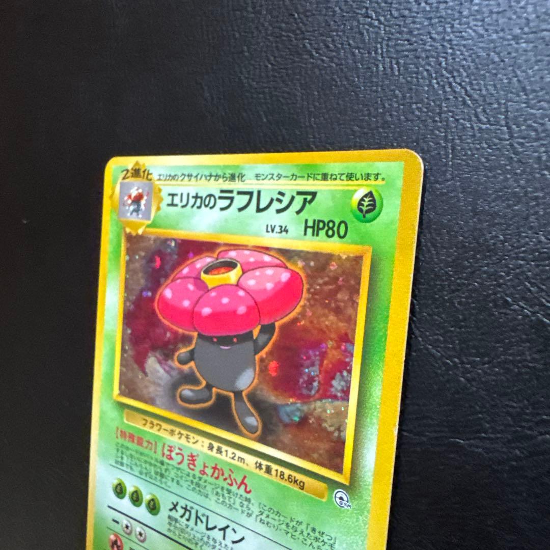 エリカのラフレシア LV34 HP80