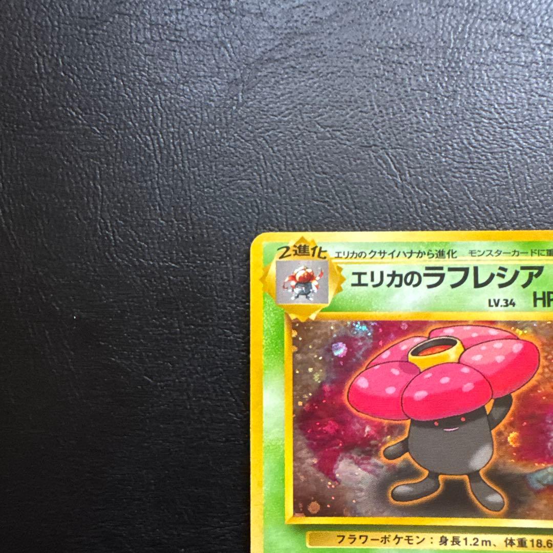 エリカのラフレシア LV34 HP80