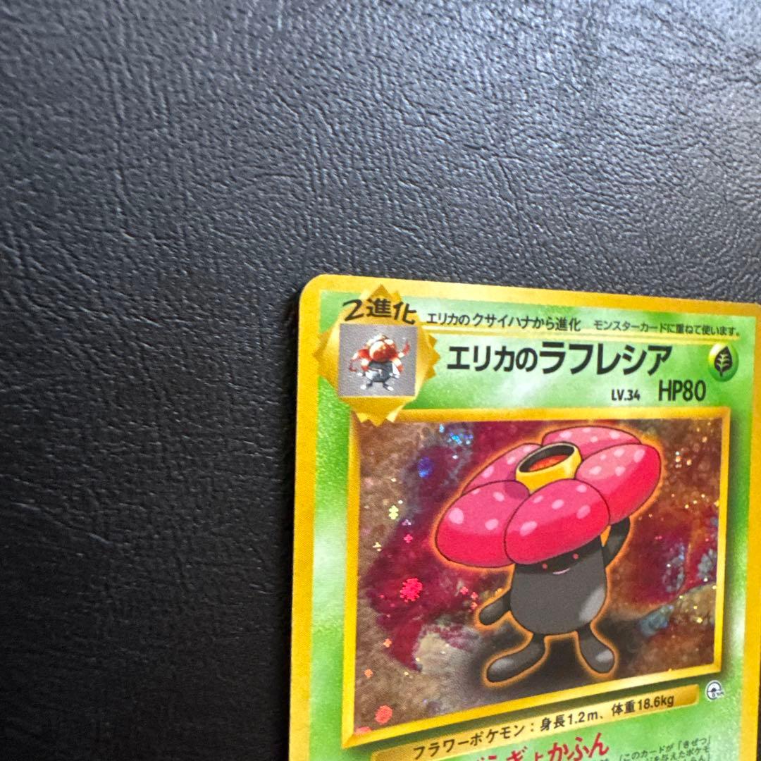 エリカのラフレシア LV34 HP80