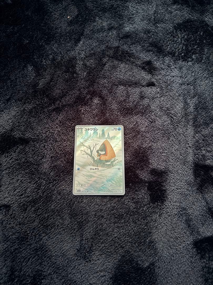 メガリザードンEX 未開封