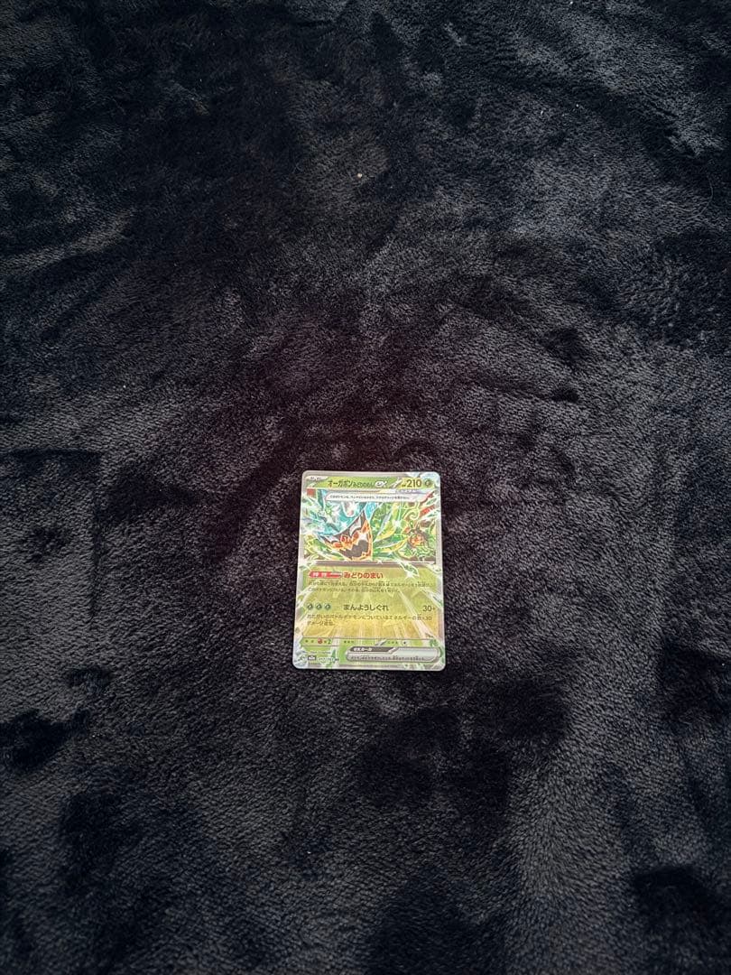 メガリザードンEX 未開封