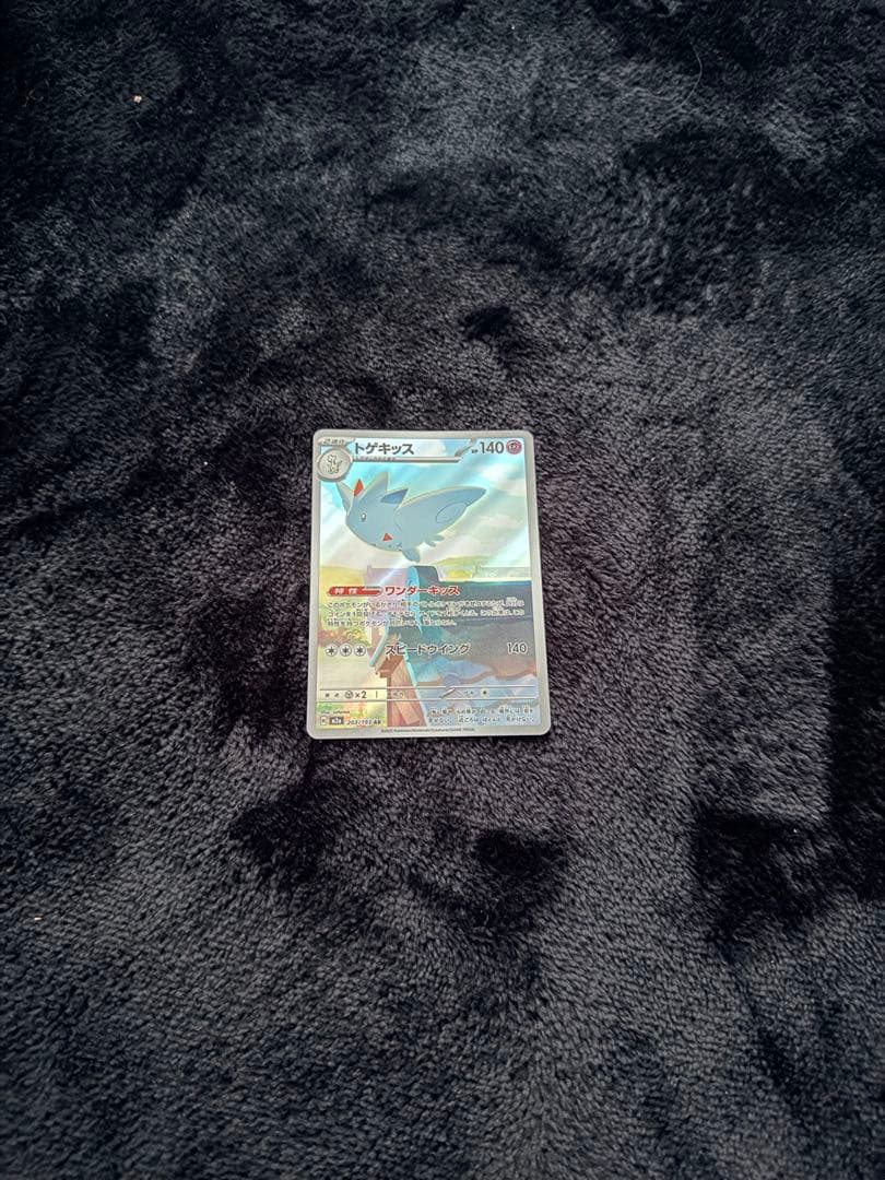 メガリザードンEX 未開封