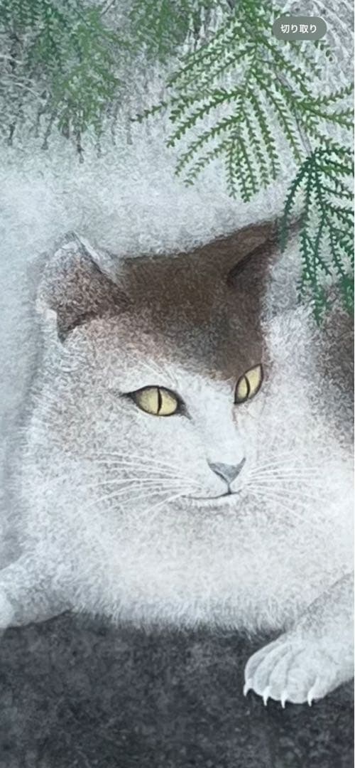 b*n様 佐藤昌美(佐藤晨)「猫」日本画 共シール 創画会