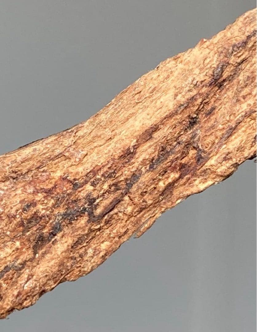 沈香　香木　上品　タニ　3.59グラム