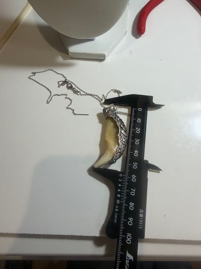 熊牙　ツキノワグマ　熊の牙　熊歯　ネックレス　キーホルダー　新作　送料無料