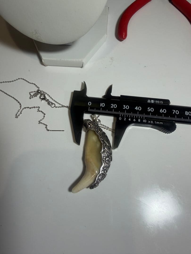 熊牙　ツキノワグマ　熊の牙　熊歯　ネックレス　キーホルダー　新作　送料無料