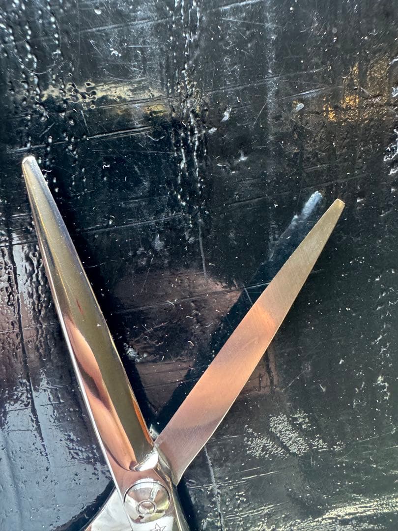 ［値下げ］シザーズジャパン