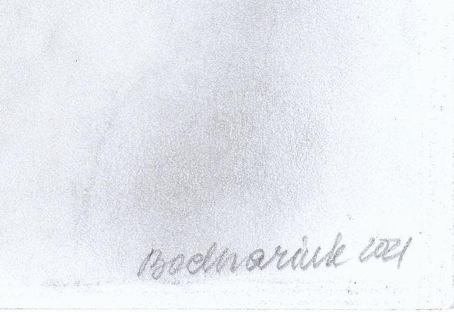 イラスト　原画　ボドナリク・カテリーナ 「の女」