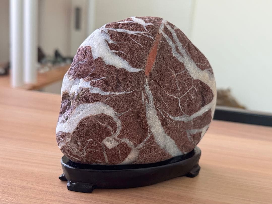 土岐石 雷光石 鑑賞石 天然石 水石 赤褐色と白の模様