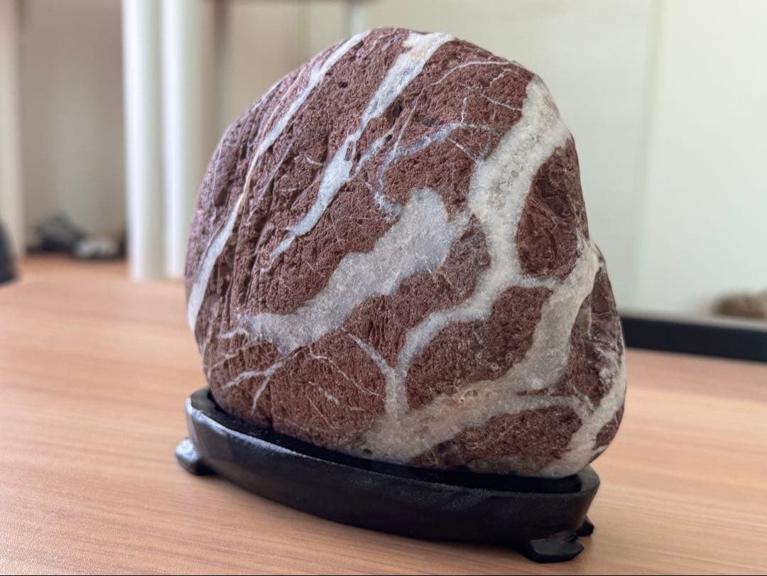 土岐石 雷光石 鑑賞石 天然石 水石 赤褐色と白の模様