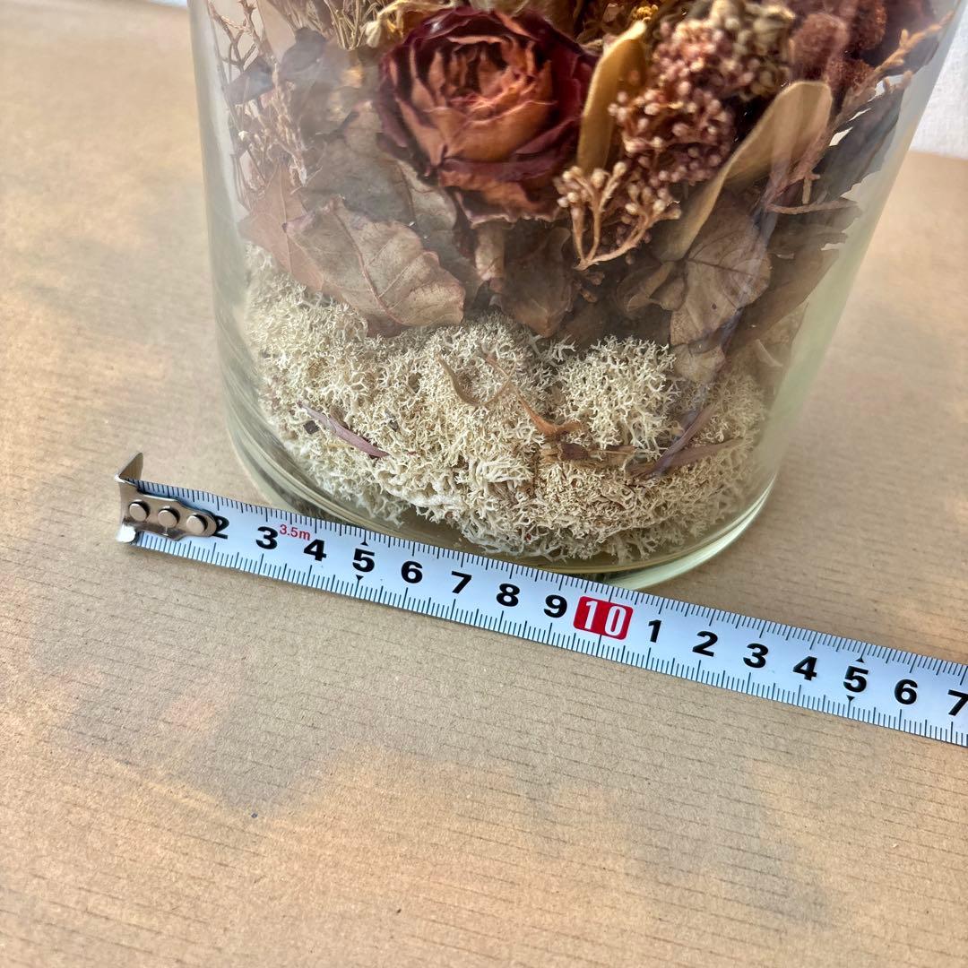 大きいサイズ❣️ m.soeur エムスール ボトルライト ドライフラワー 照明