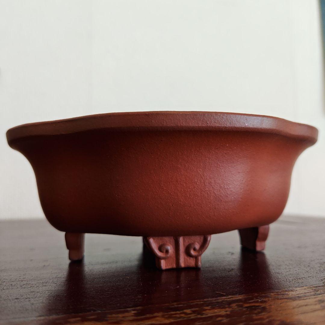 壱興　紅泥外縁雲足木瓜鉢