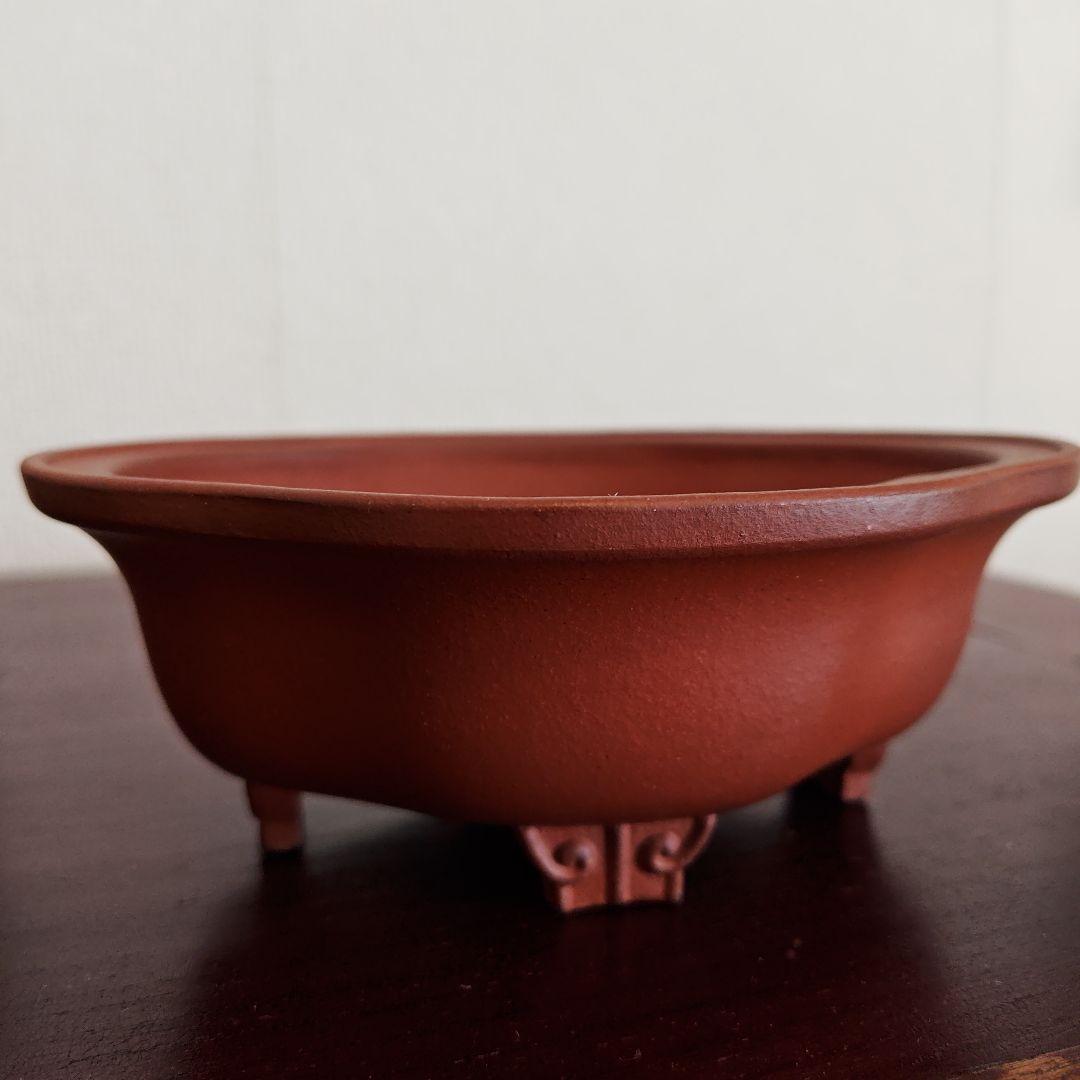 壱興　紅泥外縁雲足木瓜鉢