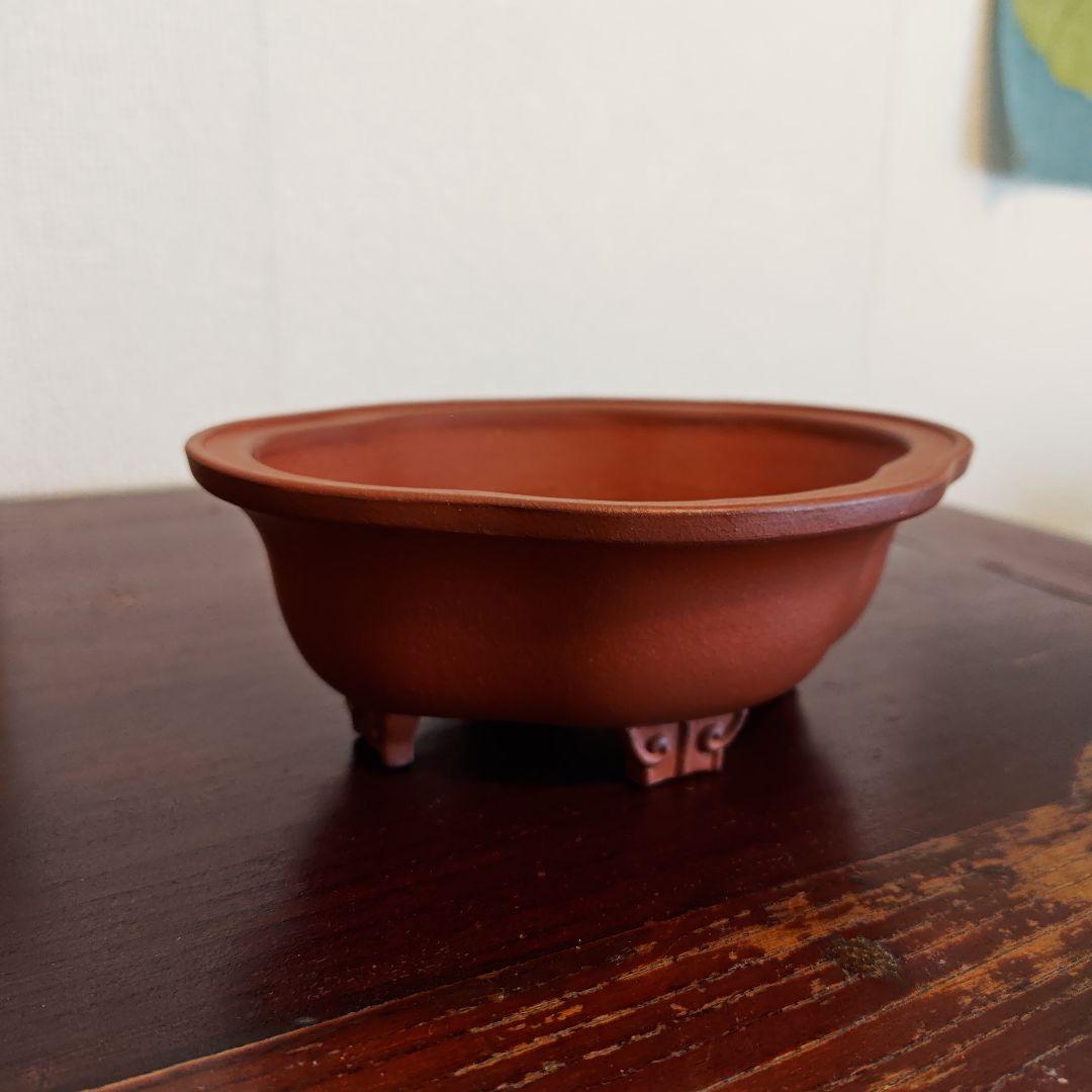 壱興　紅泥外縁雲足木瓜鉢