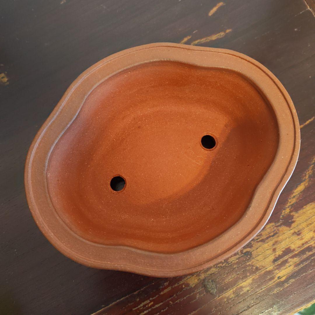 壱興　紅泥外縁雲足木瓜鉢