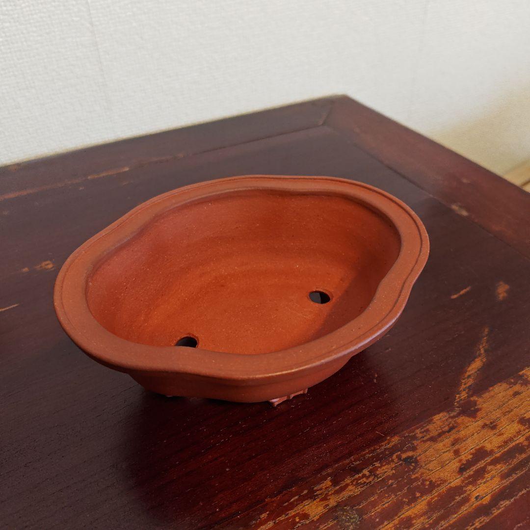 壱興　紅泥外縁雲足木瓜鉢