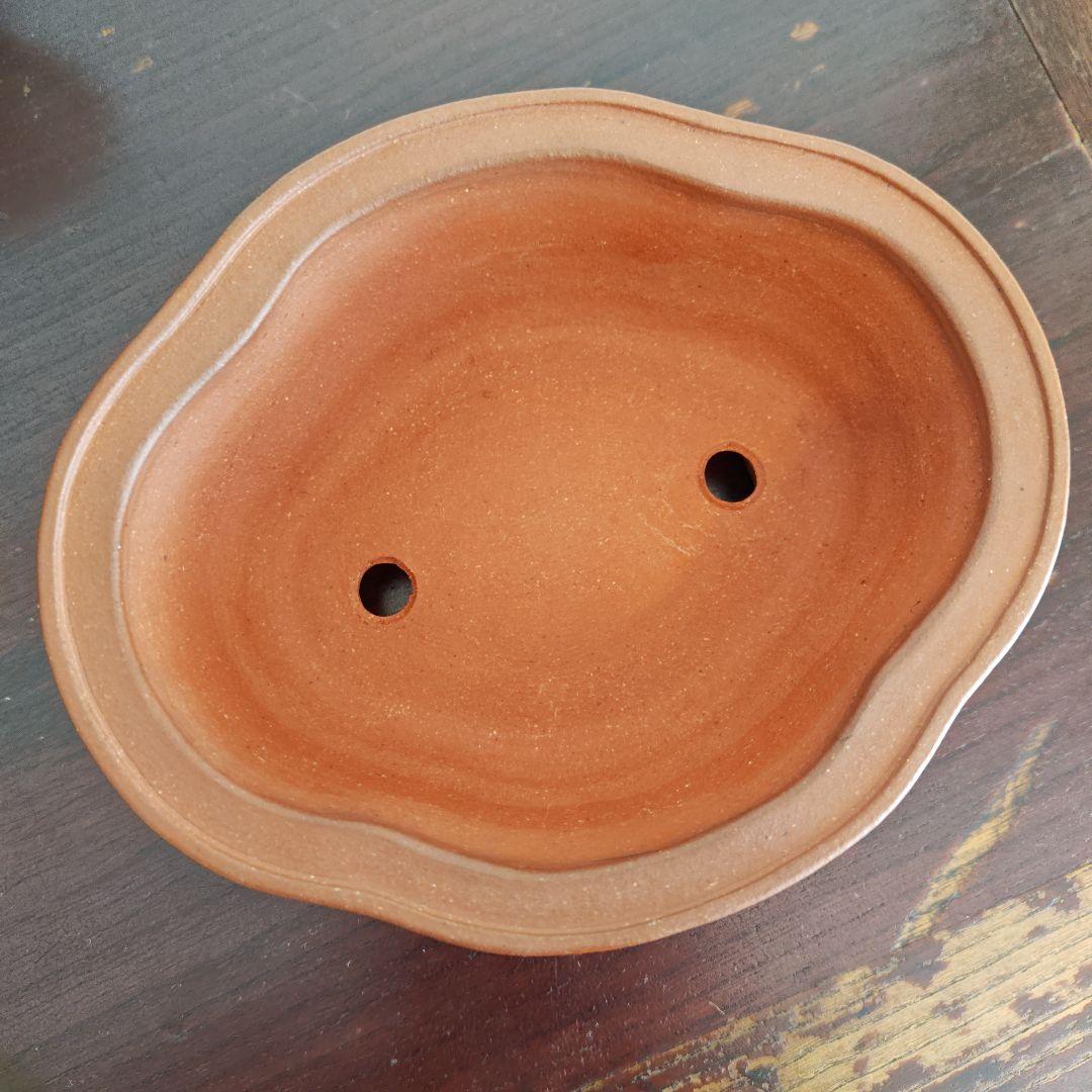 壱興　紅泥外縁雲足木瓜鉢