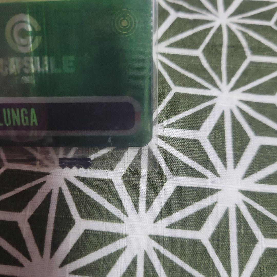 希少 ドラゴンボール 森永ウエハースカード 100 ポルンガ