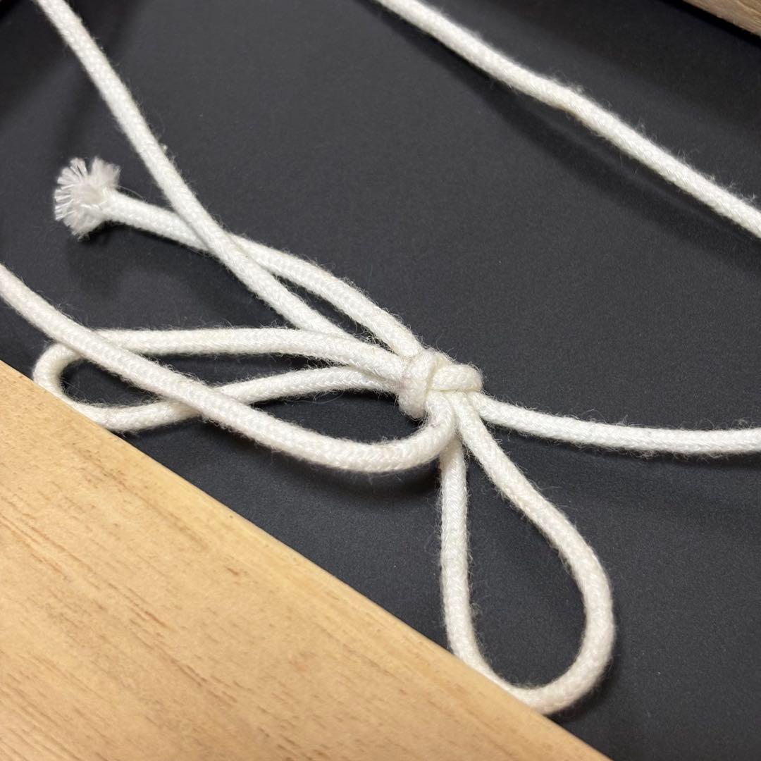 ロックマン 30周年 中山徹 ジークレーアクリルアート