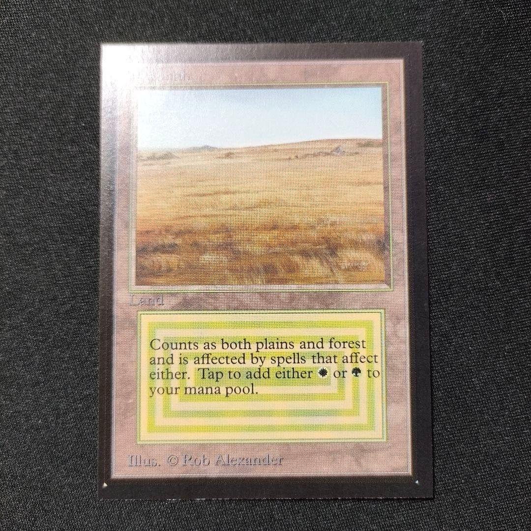 MTG 金枠 Savannah CE Collector's Edition