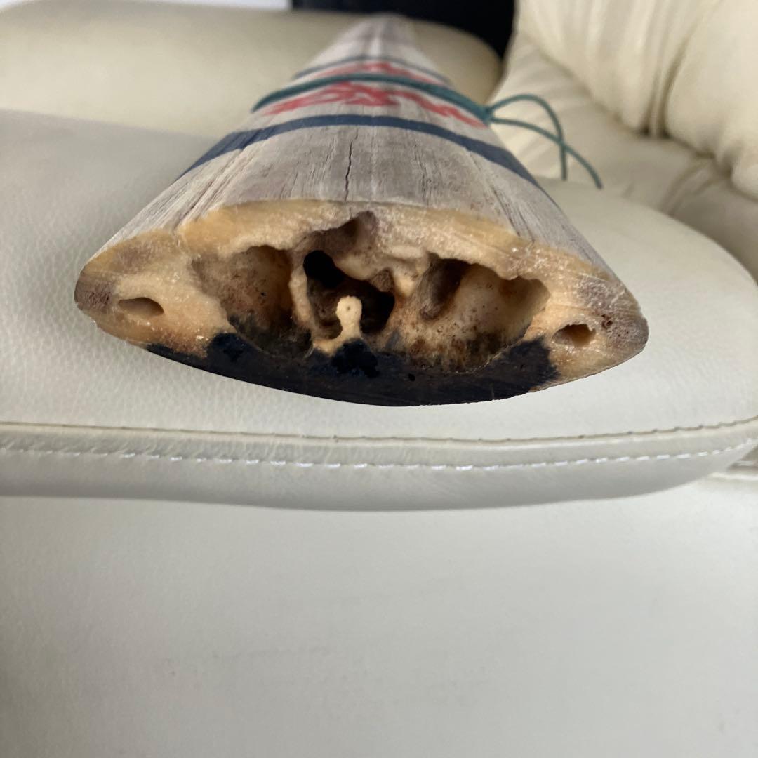 カジキマグロの吻だと知らされました。