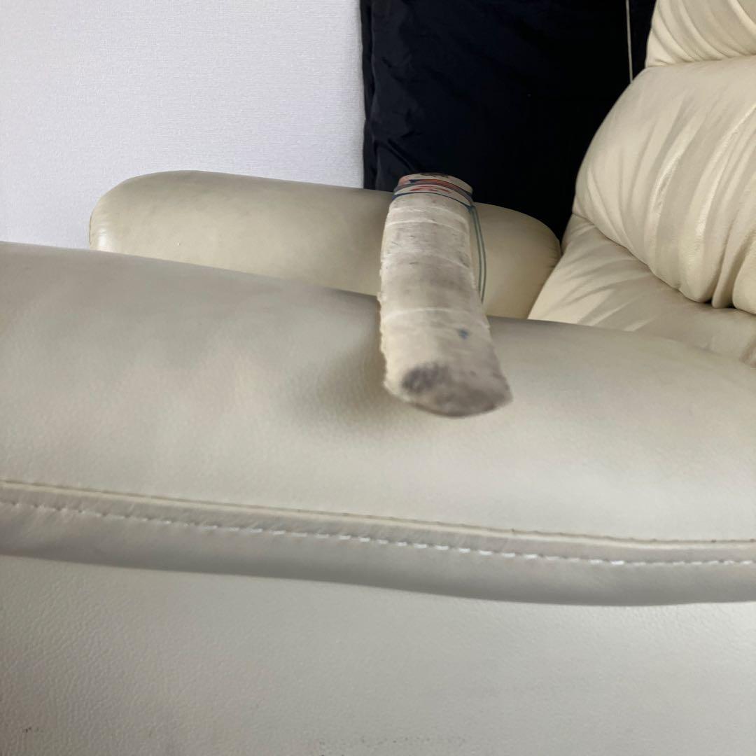 カジキマグロの吻だと知らされました。