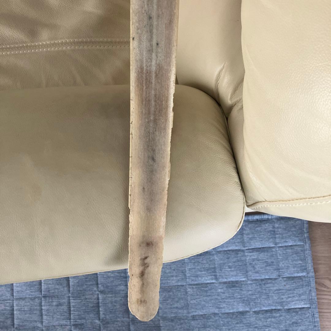 カジキマグロの吻だと知らされました。