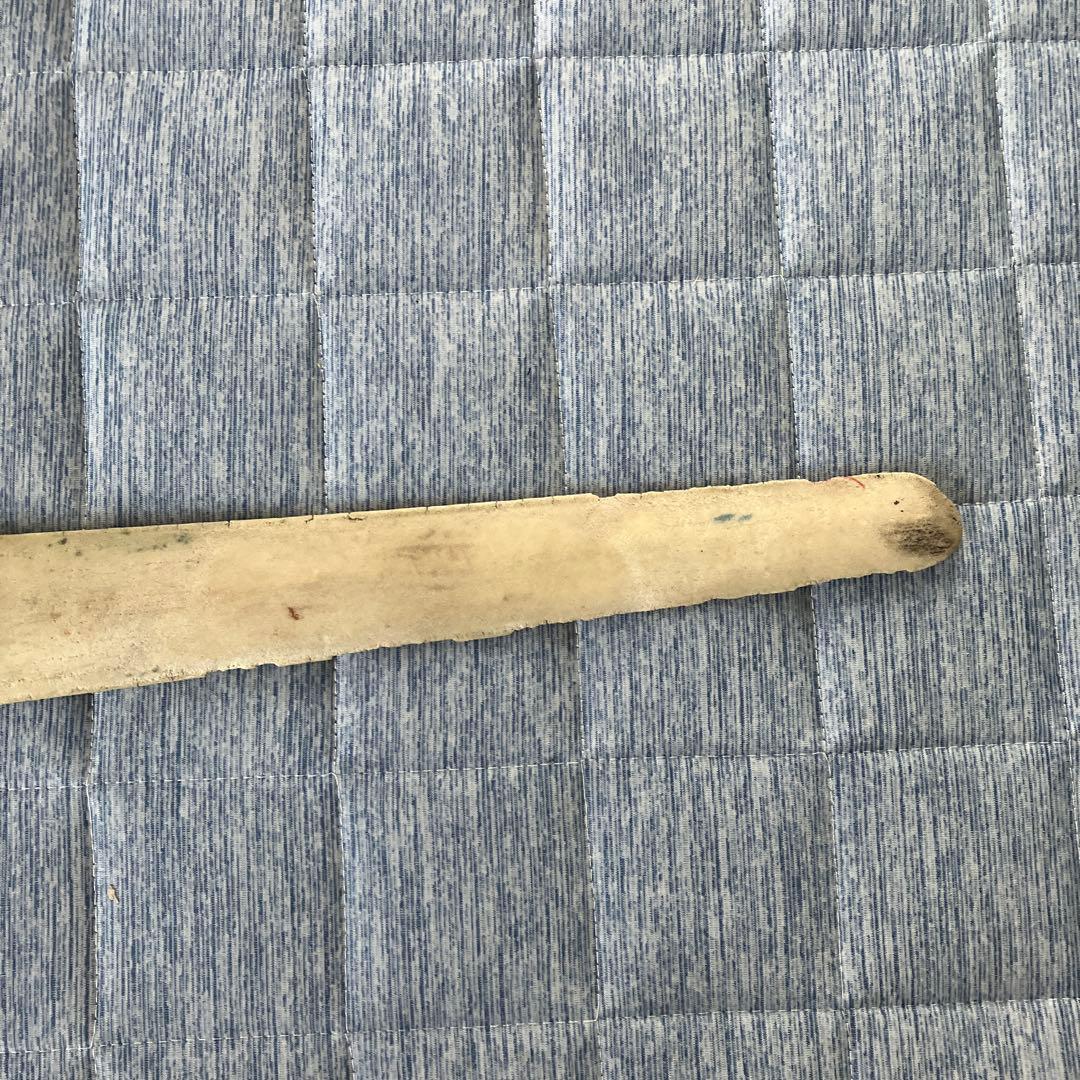 カジキマグロの吻だと知らされました。