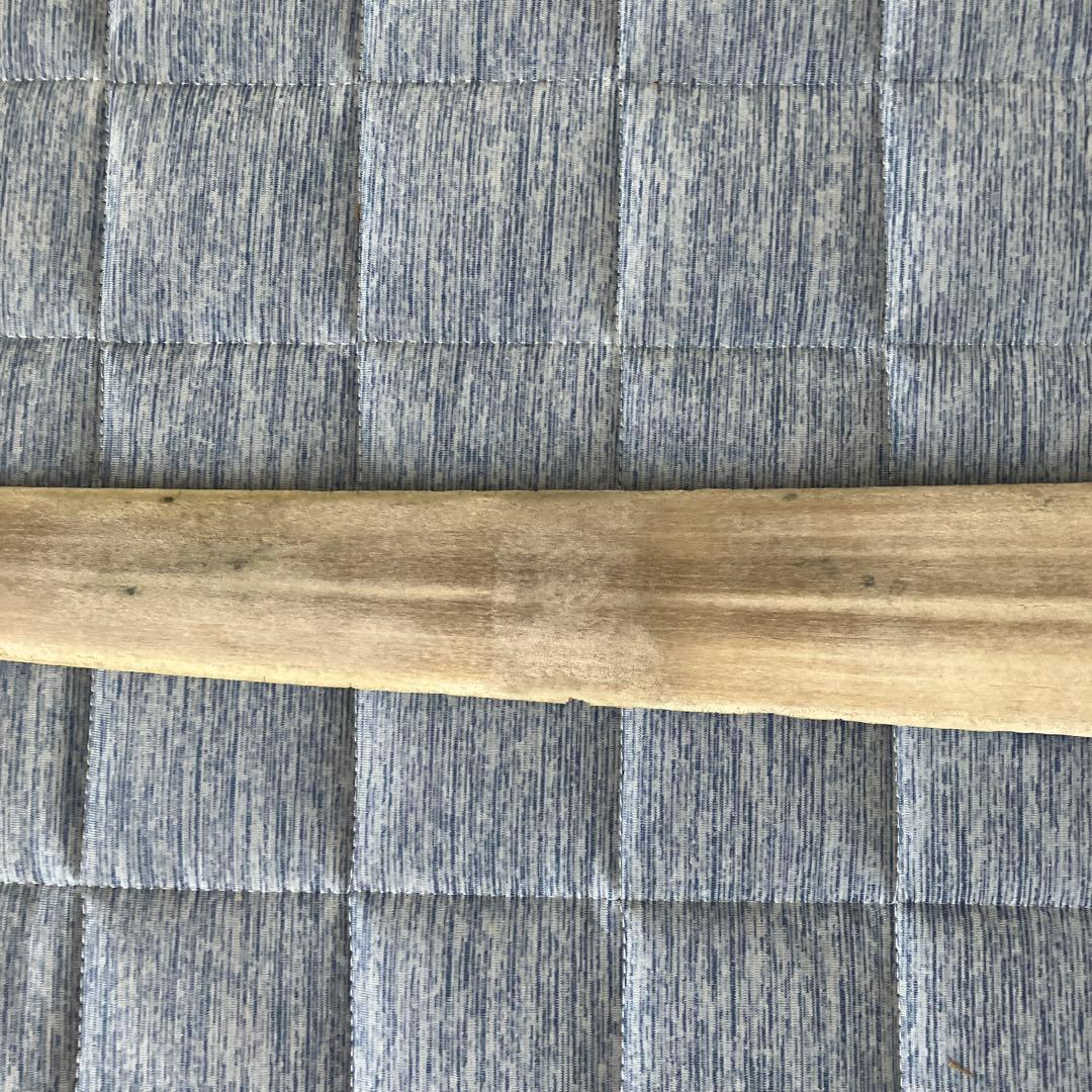 カジキマグロの吻だと知らされました。