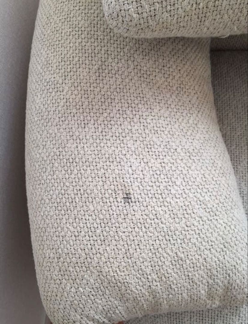 カッシーナ マラルンガ　送料込み