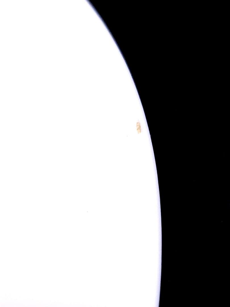  ウェッジウッド Florentine 径23cm プレート2枚