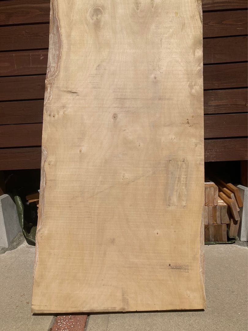 銀杏一枚板①　ダイニングテーブルやカウンターなどに