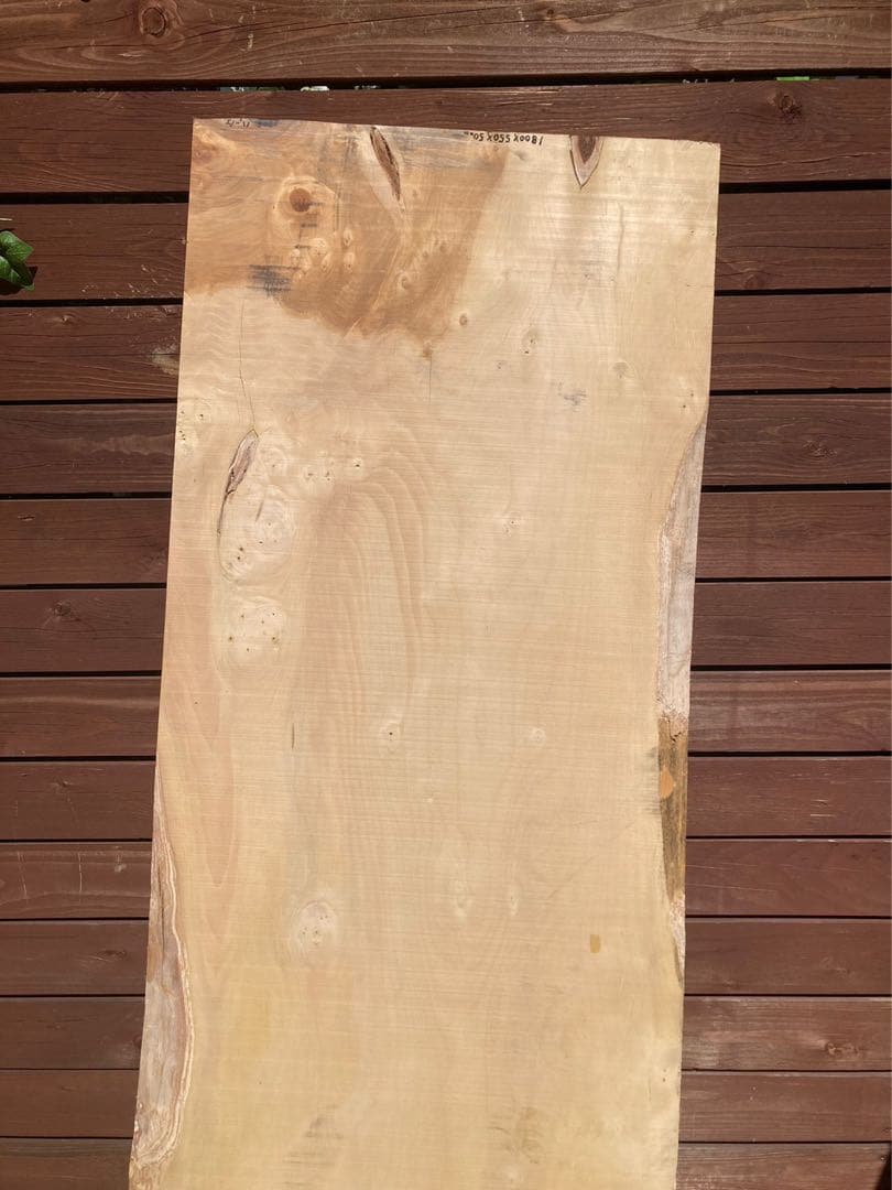 銀杏一枚板①　ダイニングテーブルやカウンターなどに