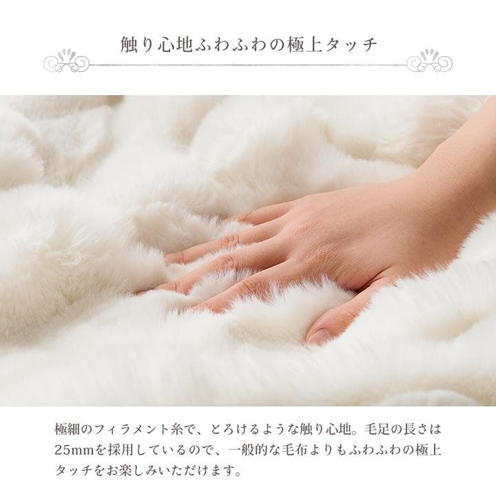 ラピアスプレミアム ダブル毛布 180x200cm ふわもこ 洗える 暖か～