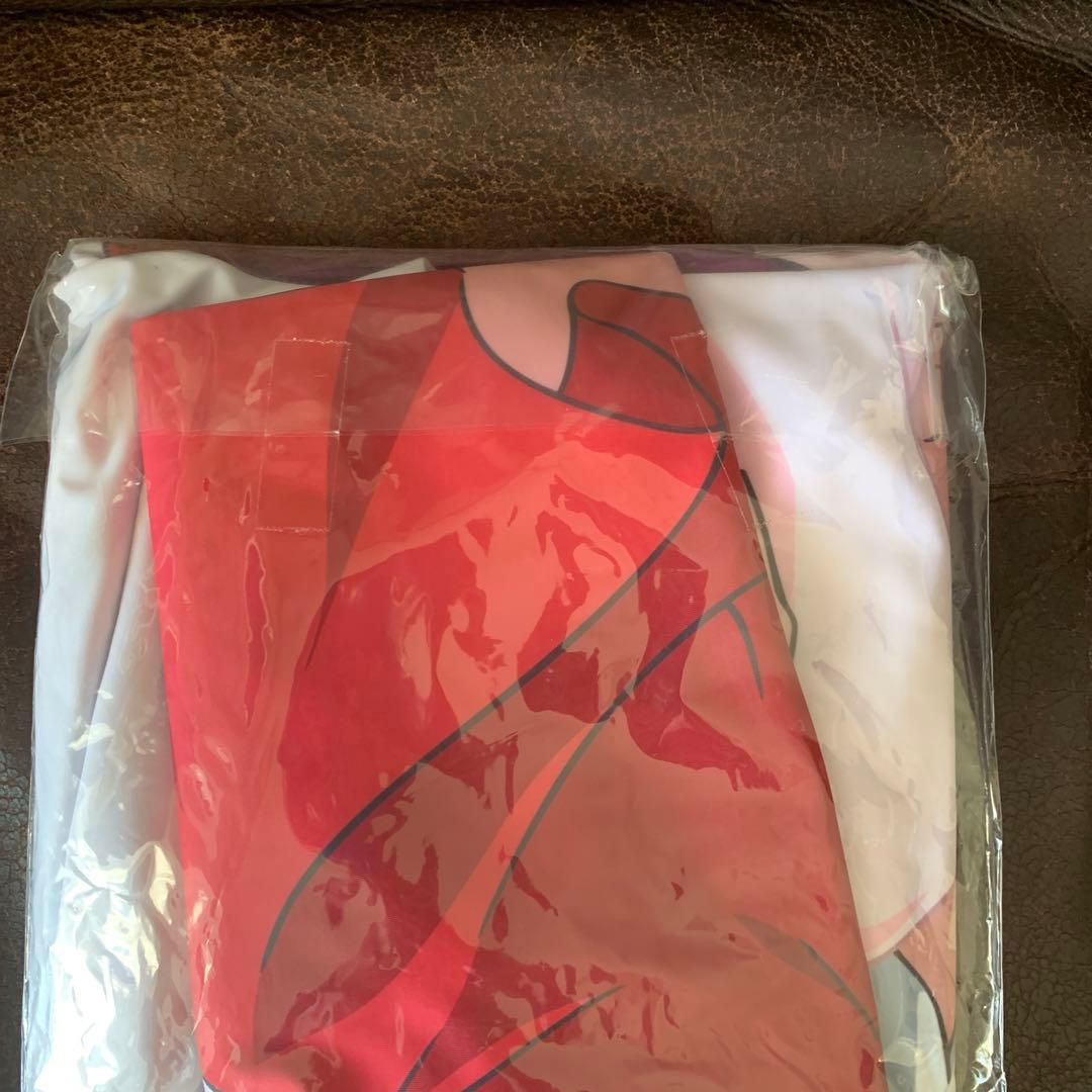 ゲゲゲの鬼太郎ねこ娘グッズまとめアクリルフィギュア付猫娘抱き枕カバー初回特典版