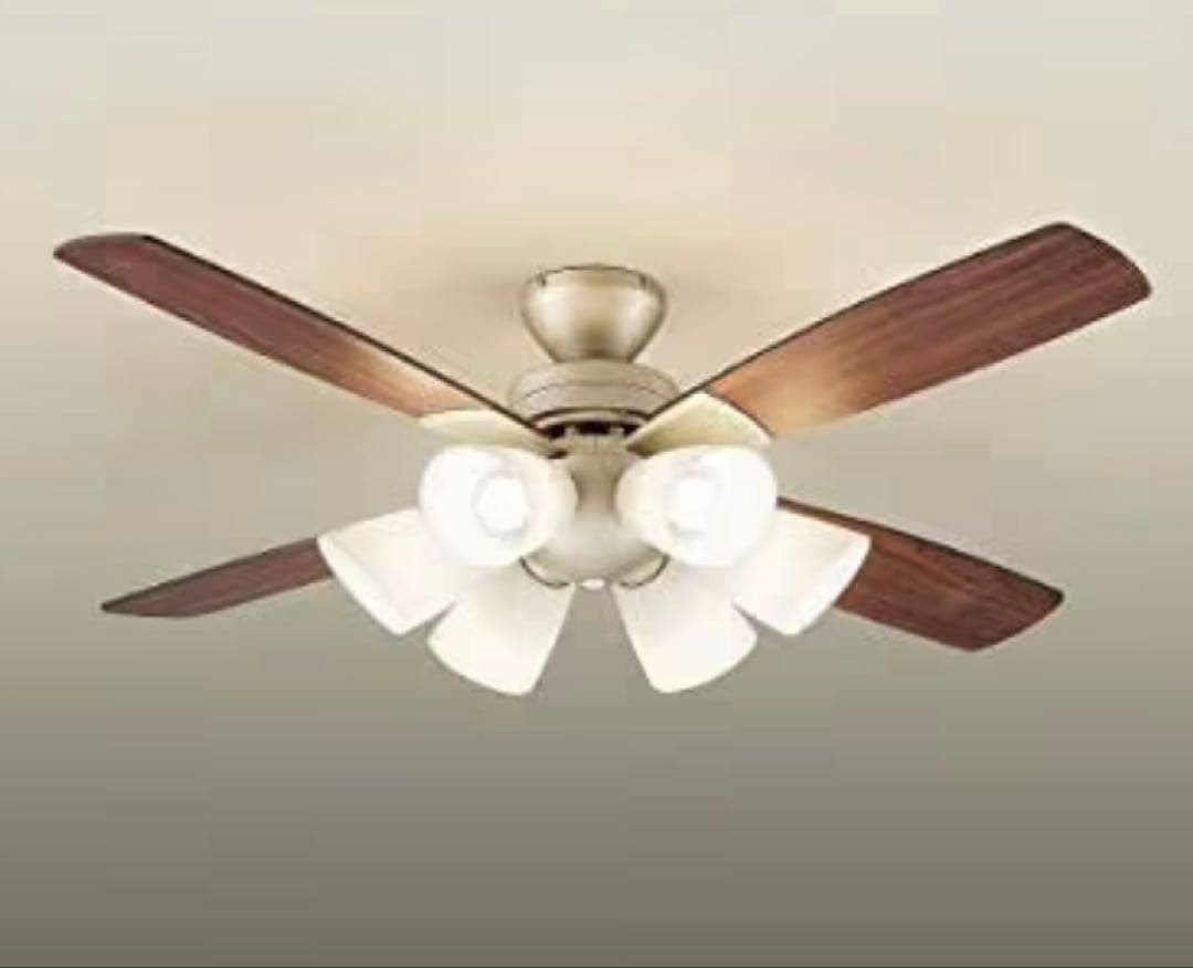 大光電機シーリングファン 電球色2700K