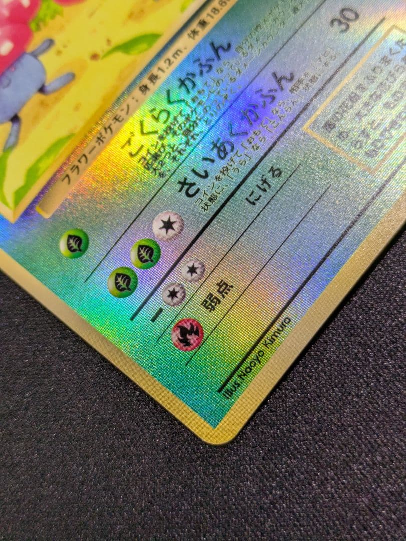 状態：B+（良品）ラフレシア サザンアイランド 旧裏【商品連番：1290