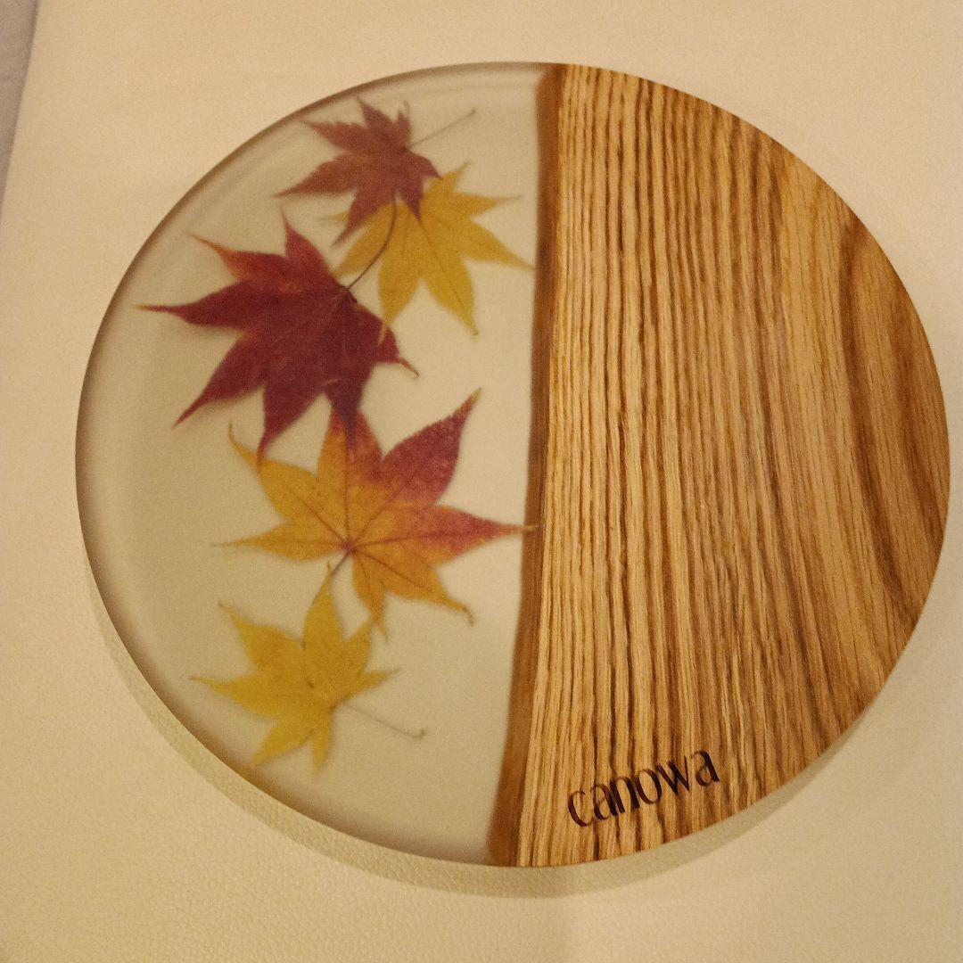 canowa 落ち葉デザイン 円形皿