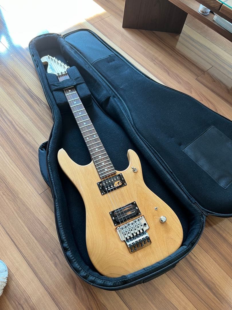 Washburn N2 1991年日本製Mod - メルカリ