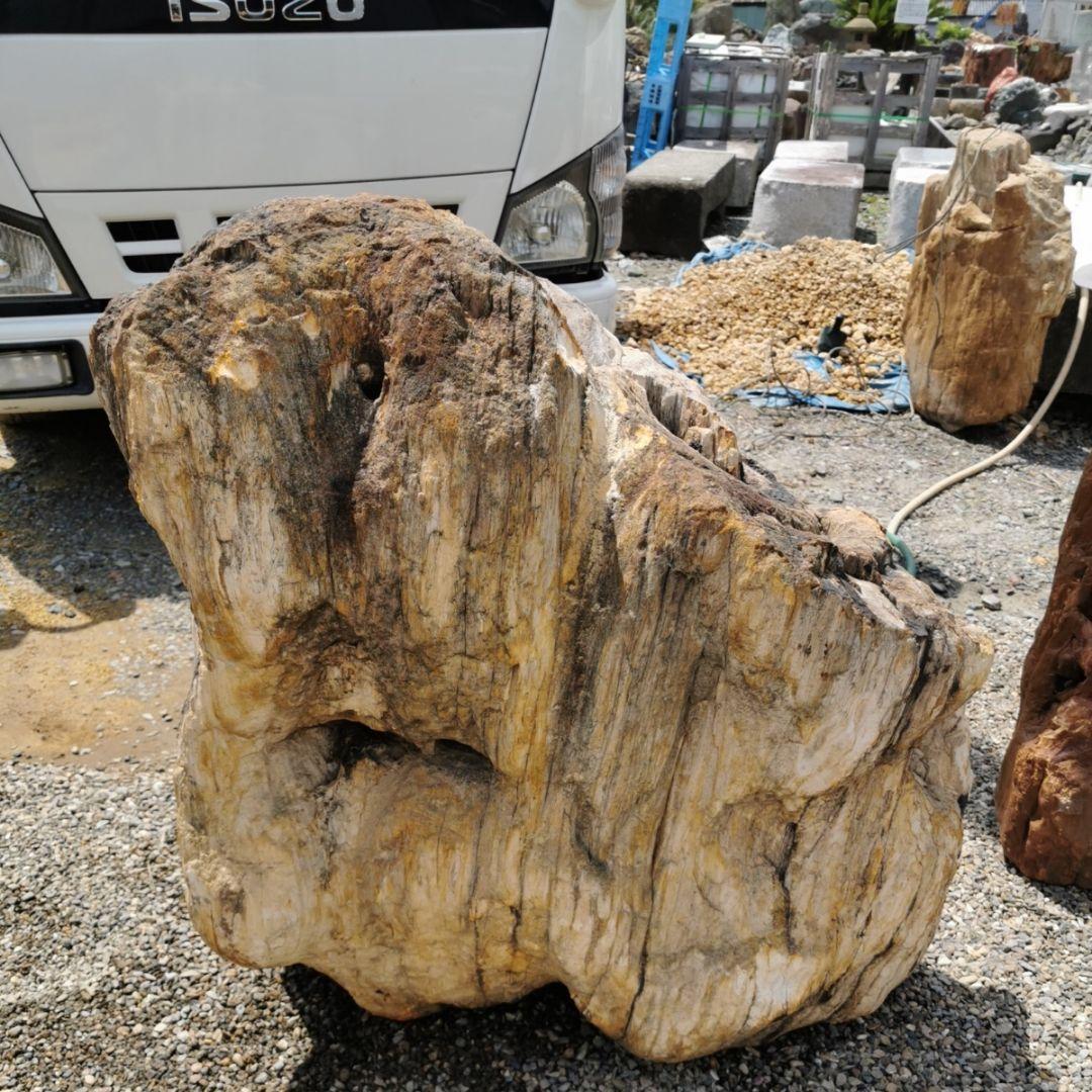 秋田産 珪化木 349キロ 木化石 庭石 石 鑑賞石 置物 オブジェ - メルカリ