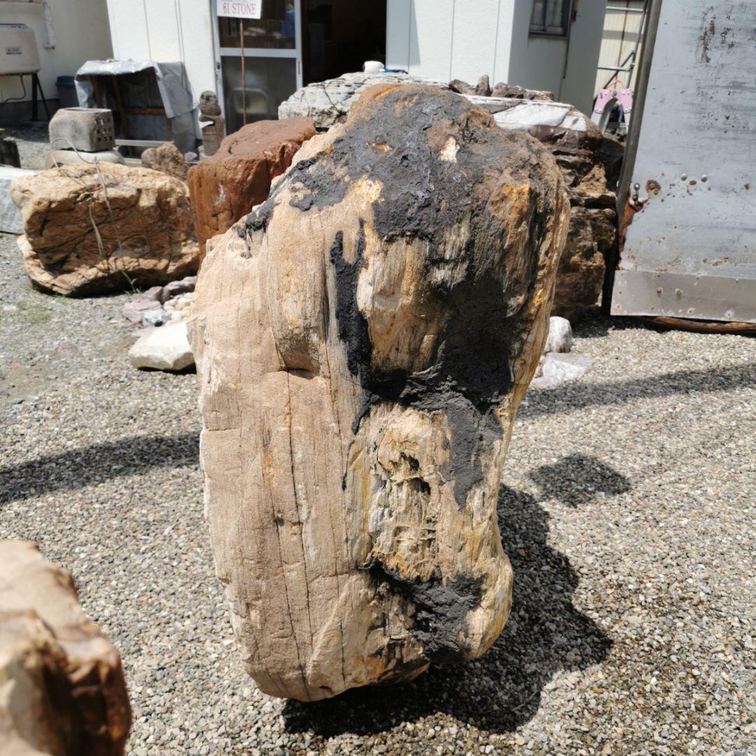 秋田産 珪化木 349キロ 木化石 庭石 石 鑑賞石 置物 オブジェ - メルカリ