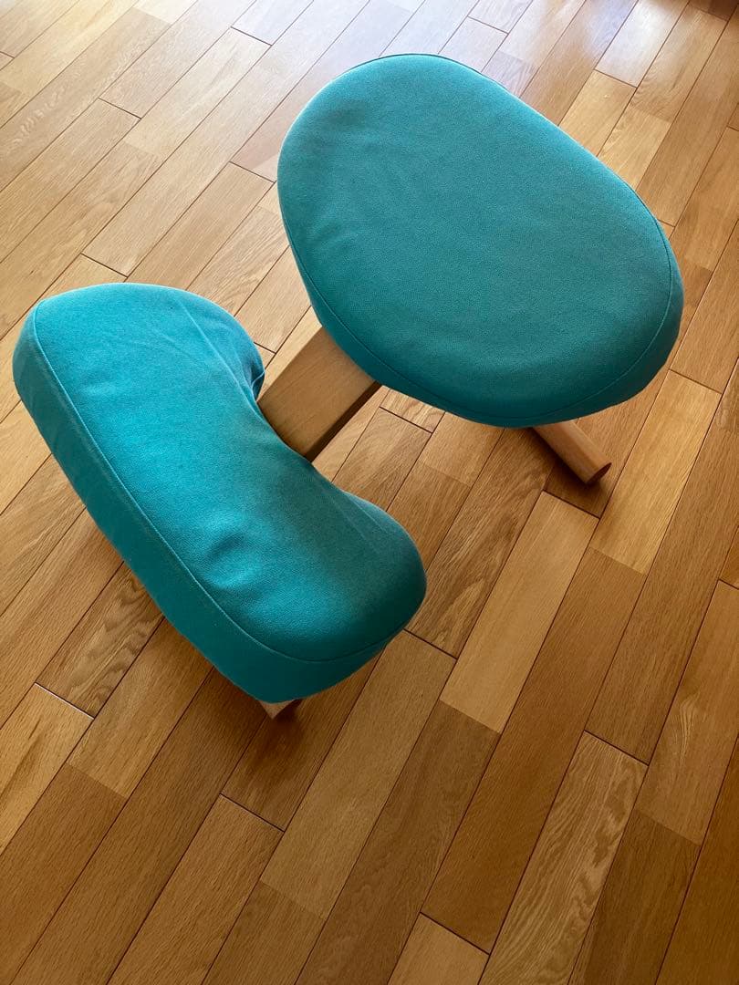 サカモトハウス　バランスチェア　イージー/ライトグリーン