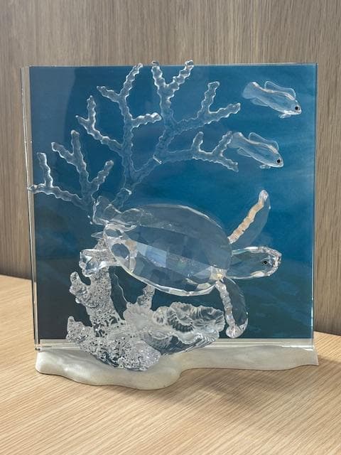 年始セール★SWAROVSKI 会員限定 ワンダーオブザシー エタニティー 亀