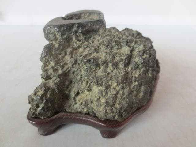 【艸】 R7/08/18-1　加茂川石　巌上溜まり石　幅11.5㎝　水石