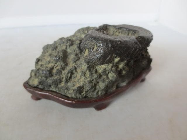 【艸】 R7/08/18-1　加茂川石　巌上溜まり石　幅11.5㎝　水石