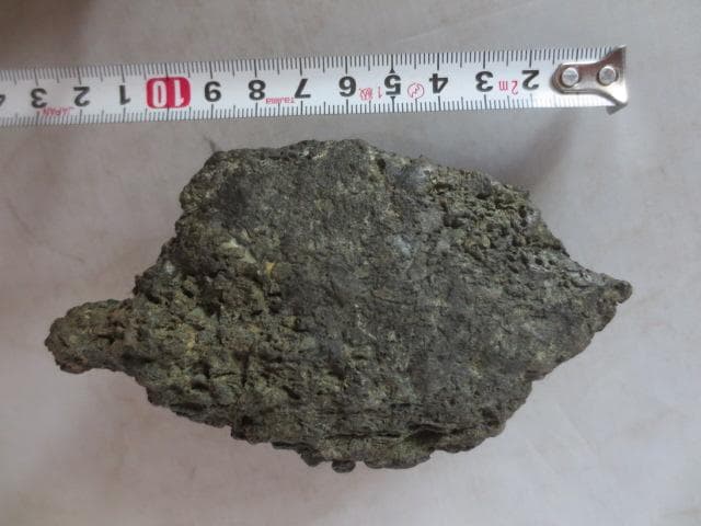 【艸】 R7/08/18-1　加茂川石　巌上溜まり石　幅11.5㎝　水石