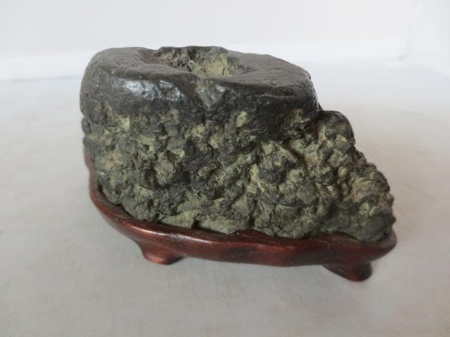 【艸】 R7/08/18-1　加茂川石　巌上溜まり石　幅11.5㎝　水石