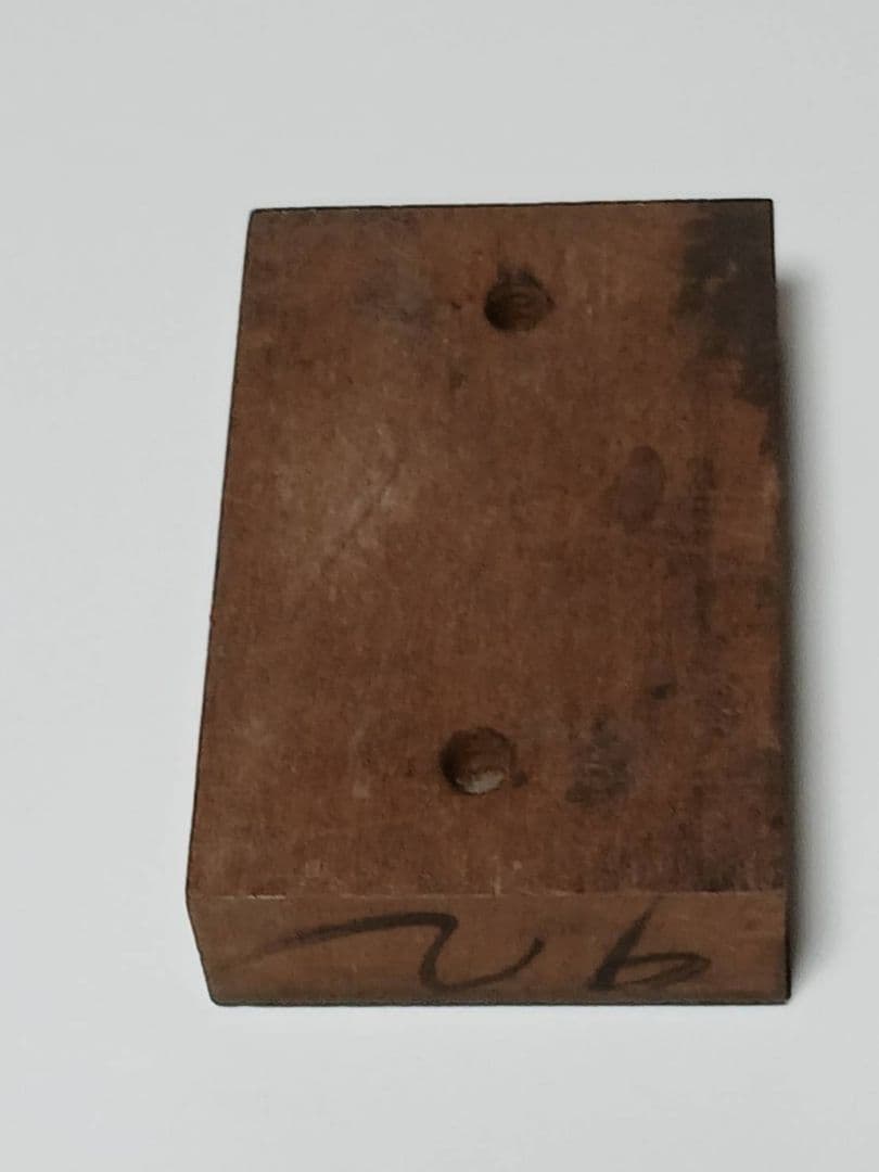 銅板写真 150年前 1点物 超貴重品入手不能品古写真 写真 幕末 銅板