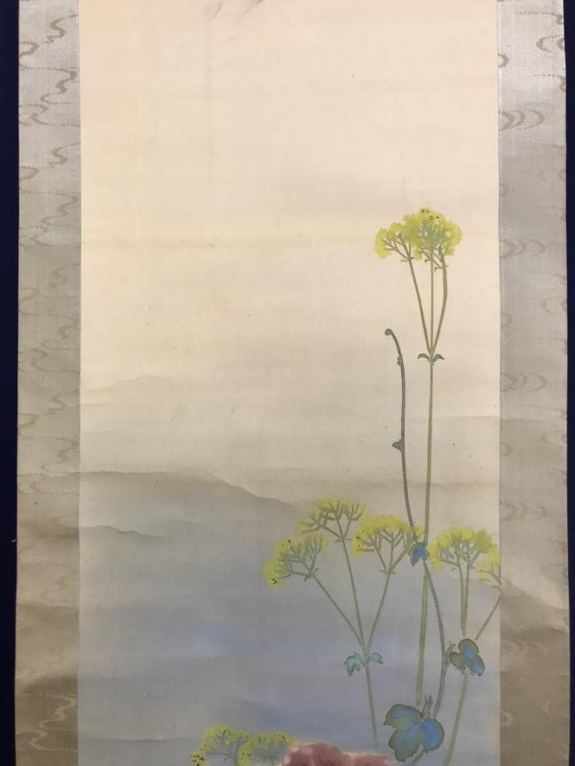 真作/雑喉紅朝/朝顔/オミナエシトンボ図/夏の花図/掛軸/名家