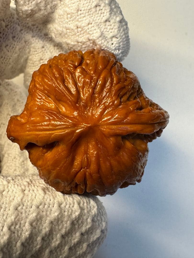 文玩核桃 磨盤獅子頭